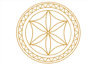 rozetka z gadzikiem www